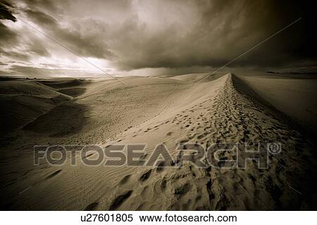 Stock Illustration - Desert at night. Fotosearch