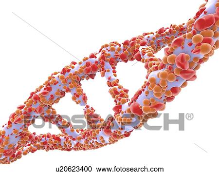 DNA molecule, artwork View Large Illustration Clipart - DNA molecule, artwork. Fotosearch