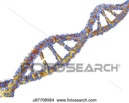 Stock Illustration - DNA molecule, artwork. Fotosearch
