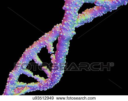 DNA molecule, artwork View Large Illustration Stock Illustration - DNA molecule, artwork. Fotosearch
