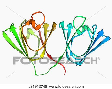 Eye lens protein molecule View Large Illustration Stock Illustration - Eye lens protein molecule. Fotosearch