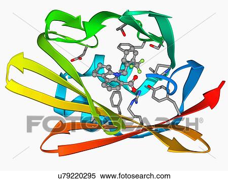 Fatty acid binding protein and inhibitor View Large Illustration Stock Illustration - Fatty acid binding protein and inhibitor. Fotosearch