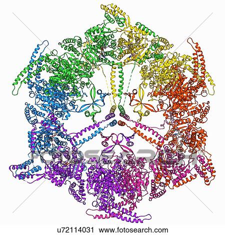 Fatty acid synthase molecule View Large Illustration Clip Art - Fatty acid synthase molecule. Fotosearch
