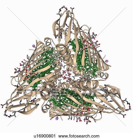 Clip Art - Fenna-Matthews-Olson complex molecule. Fotosearch