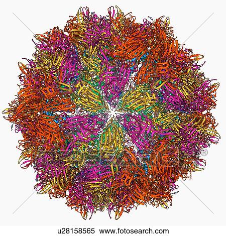 Flock house virus capsid View Large Illustration Stock Illustration - Flock house virus capsid. Fotosearch