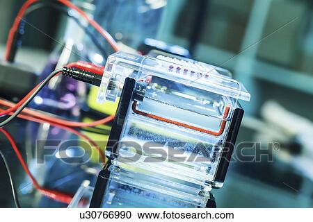 Gel electrophoresis View Large Illustration Clipart - Gel electrophoresis. Fotosearch