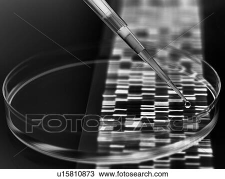 Drawing - Genetic research. Fotosearch
