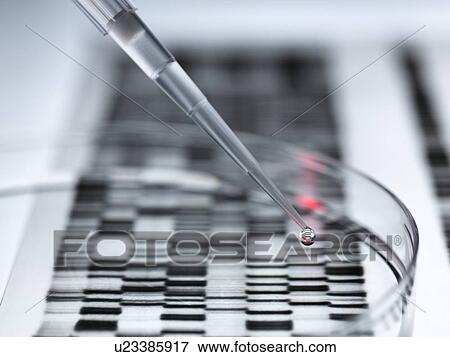 Stock Illustration - Genetic research. Fotosearch