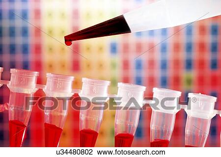 Genetics research View Large Illustration Drawing - Genetics research. Fotosearch
