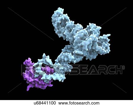 Glycine riboswitch molecule View Large Illustration Clipart - Glycine riboswitch molecule. Fotosearch