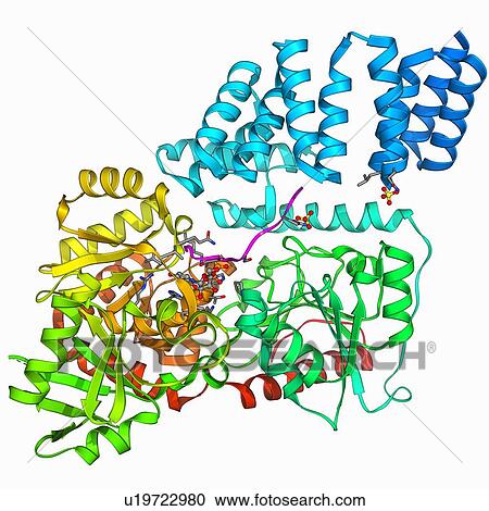 Clipart - Glycosylation enzyme molecule. Fotosearch