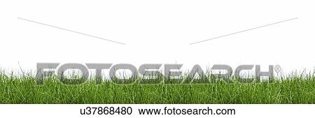 Clipart - Grass, artwork. Fotosearch