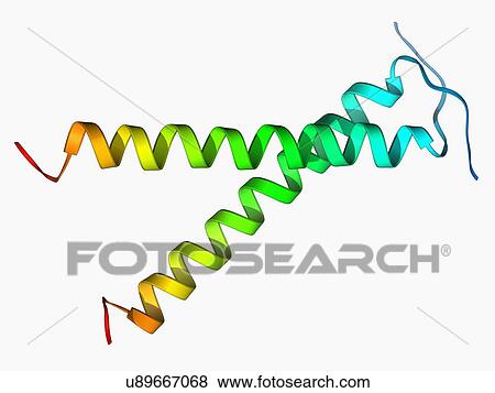 Growth factor receptor molecule View Large Illustration Stock Illustration - Growth factor receptor molecule. Fotosearch