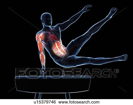 Gymnast, artwork View Large Illustration Stock Illustration - Gymnast, artwork. Fotosearch