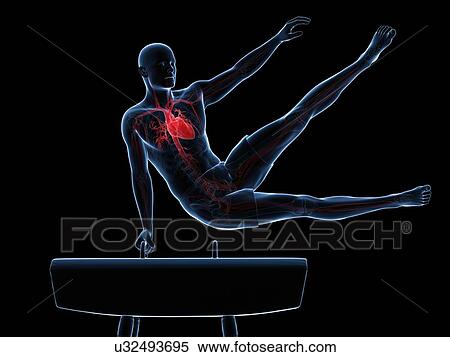 Gymnast, artwork View Large Illustration Stock Illustration - Gymnast, artwork. Fotosearch