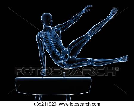 Stock Illustration - Gymnast, artwork. Fotosearch