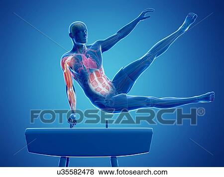 Gymnast, artwork View Large Illustration Stock Illustration - Gymnast, artwork. Fotosearch