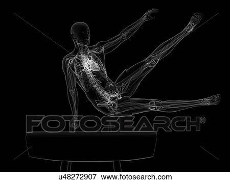 Gymnast, artwork View Large Illustration Stock Illustration - Gymnast, artwork. Fotosearch