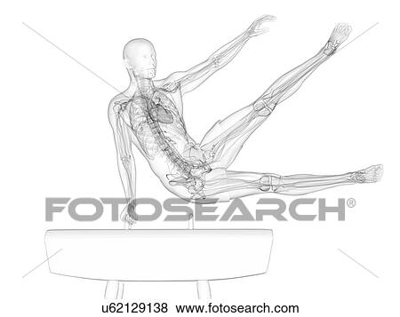 Stock Illustration - Gymnast, artwork. Fotosearch