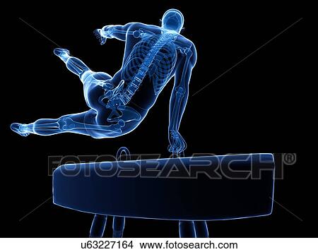 Stock Illustration - Gymnast, artwork. Fotosearch