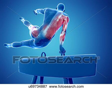 Gymnast, artwork View Large Illustration Stock Illustration - Gymnast, artwork. Fotosearch