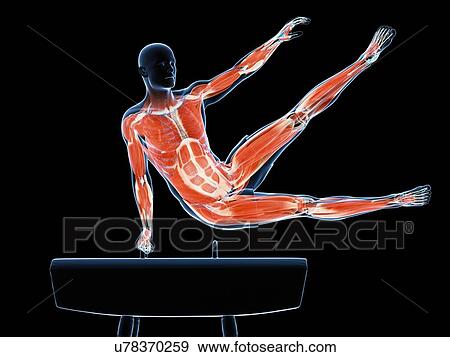 Gymnast, artwork View Large Illustration Stock Illustration - Gymnast, artwork. Fotosearch