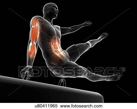 Gymnast, artwork View Large Illustration Stock Illustration - Gymnast, artwork. Fotosearch