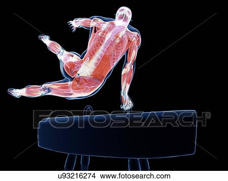 Gymnast, artwork View Large Illustration Stock Illustration - Gymnast, artwork. Fotosearch