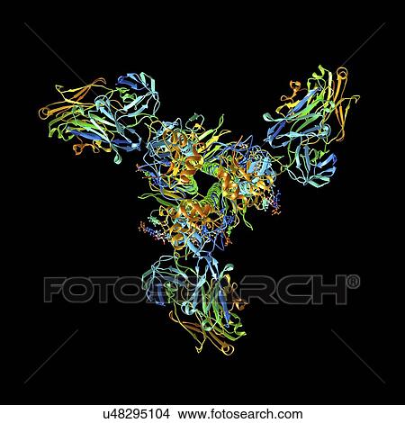 Haemagglutinin viral surface protein View Large Illustration Stock Illustration - Haemagglutinin viral surface protein. Fotosearch