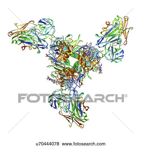 Haemagglutinin viral surface protein View Large Illustration Stock Illustration - Haemagglutinin viral surface protein. Fotosearch