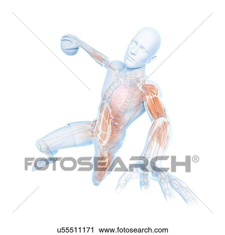 Clip Art - Handball player, artwork. Fotosearch