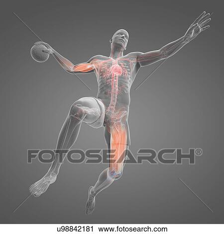 Handball player, artwork View Large Illustration Clip Art - Handball player, artwork. Fotosearch