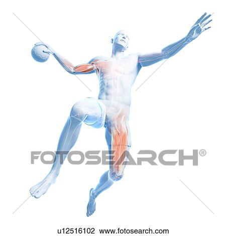 Handball player, artwork View Large Illustration Drawing - Handball player, artwork. Fotosearch
