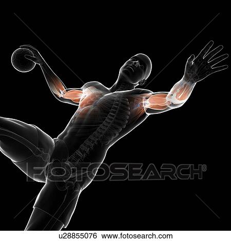 Stock Illustration - Handball player, artwork. Fotosearch