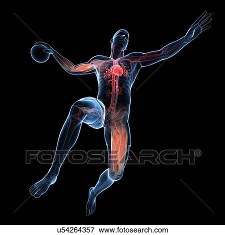 Stock Illustration - Handball player, artwork. Fotosearch