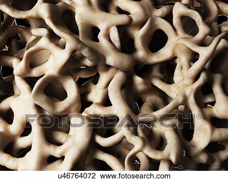 Drawing - Healthy bone structure, artwork. Fotosearch
