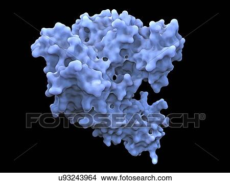 Heat shock factor 70 protein View Large Illustration Stock Illustration - Heat shock factor 70 protein. Fotosearch