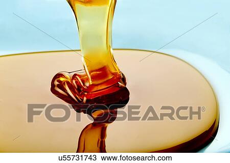 Drawing - Honey. Fotosearch