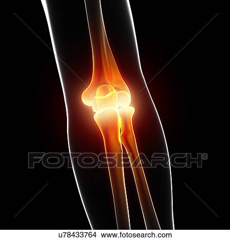 Stock Illustration - Human arm bones, artwork. Fotosearch