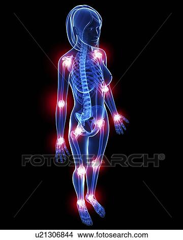 Human musculature, artwork View Large Illustration Stock Illustration - Human musculature, artwork. Fotosearch