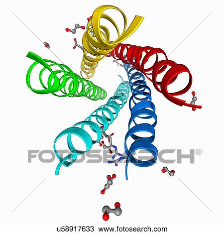 Drawing - Human rotavirus enterotoxin. Fotosearch