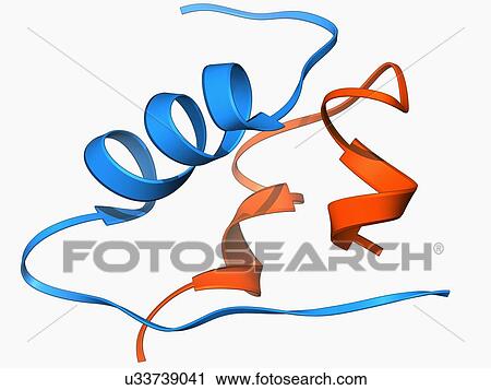Insulin molecule View Large Illustration Clip Art - Insulin molecule. Fotosearch