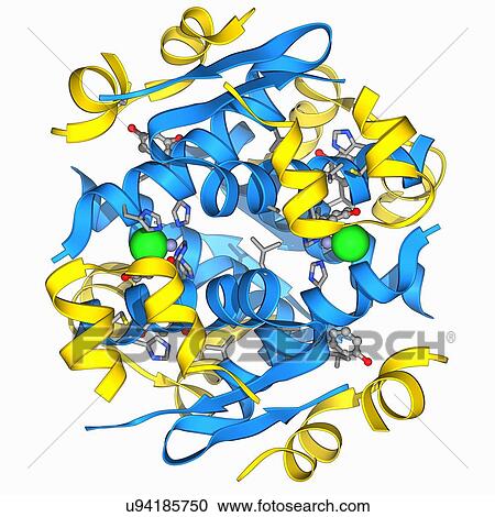 Insulin molecule View Large Illustration Clipart - Insulin molecule. Fotosearch