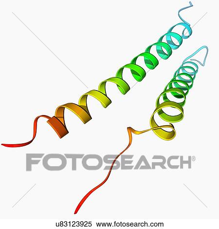 Integrin transmembrane domain View Large Illustration Stock Illustration - Integrin transmembrane domain. Fotosearch