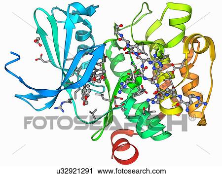 Kinase inhibitor complex View Large Illustration Clip Art - Kinase inhibitor complex. Fotosearch