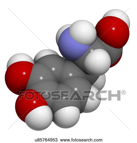 Drawing - Levodopa Parkinson's disease drug. Fotosearch