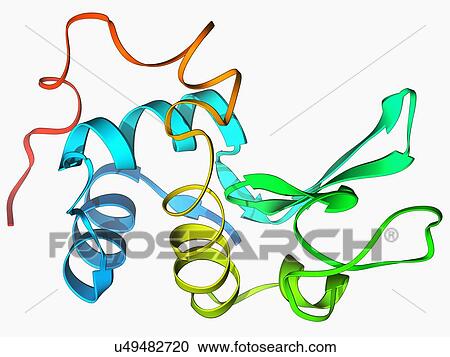 Clipart - Lysozyme molecule. Fotosearch