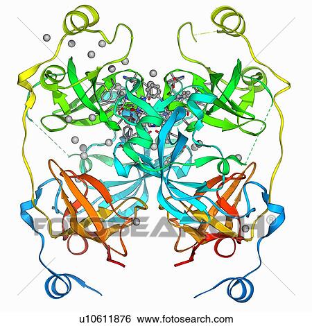Malignant brain-tumor-like protein View Large Illustration Stock Illustration - Malignant brain-tumor-like protein. Fotosearch