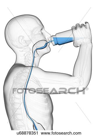 Man drinking, artwork View Large Illustration Clip Art - Man drinking, artwork. Fotosearch