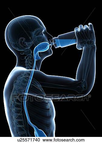 Man drinking, artwork View Large Illustration Clipart - Man drinking, artwork. Fotosearch